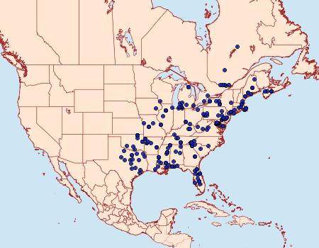 Distribution Data for Chionodes fuscomaculella