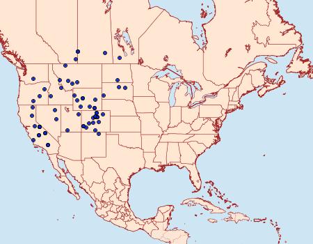 Distribution Data for Chionodes grandis