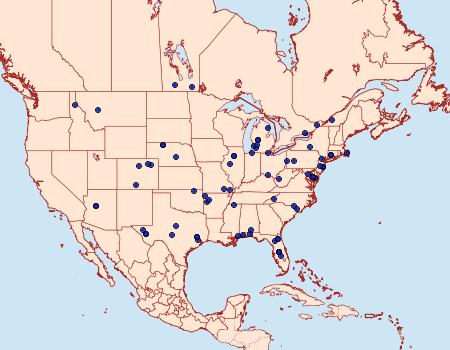 Distribution Data for Chionodes imber