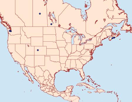 Distribution Data for Chionodes iridescens