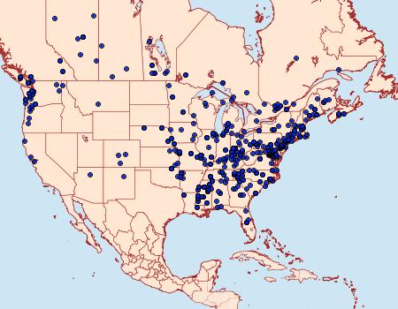 Distribution Data for Chionodes mediofuscella