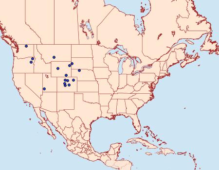 Distribution Data for Chionodes sepultor