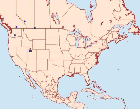 Distribution Data for Chionodes praecia