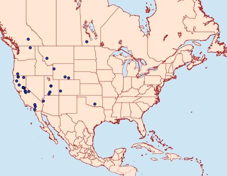 Distribution Data for Chionodes praetor