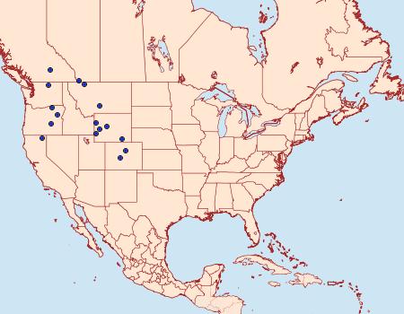 Distribution Data for Chionodes nigrobarbata