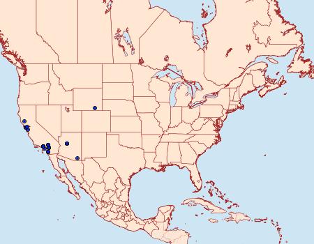 Distribution Data for Chionodes notandella