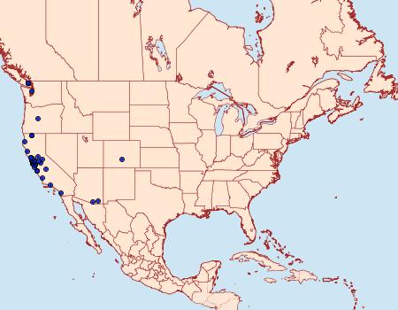 Distribution Data for Chionodes occidentella