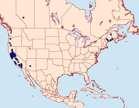 Distribution Data for Chionodes ochreostrigella