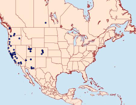 Distribution Data for Chionodes petalumensis