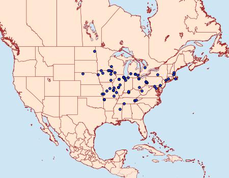 Distribution Data for Chionodes pseudofondella