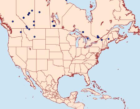 Distribution Data for Chionodes psiloptera