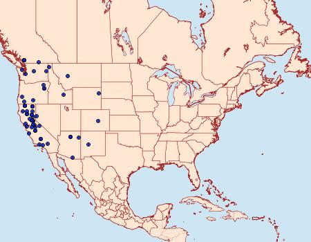 Distribution Data for Chionodes retiniella