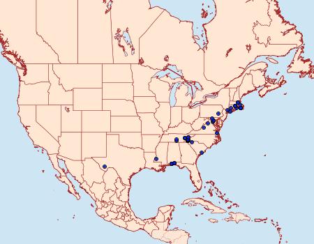 Distribution Data for Chionodes sevir