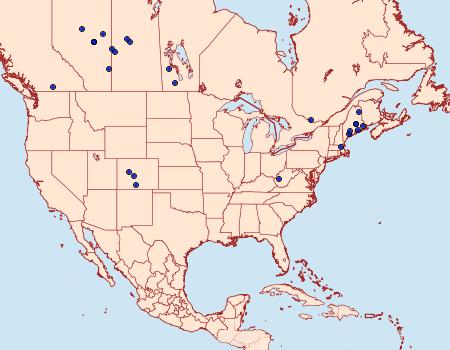 Distribution Data for Chionodes terminimaculella