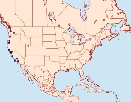 Distribution Data for Chionodes restio