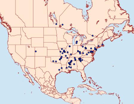 Distribution Data for Chionodes adamas