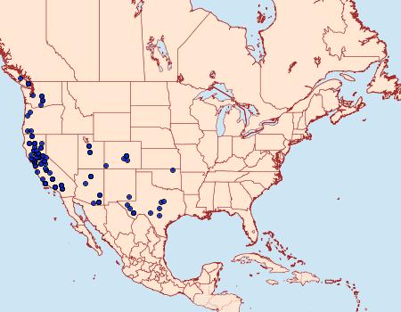 Distribution Data for Chionodes trichostola