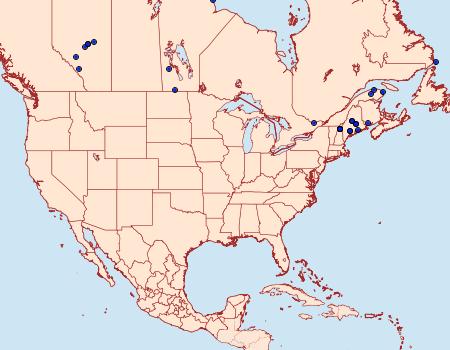 Distribution Data for Chionodes viduella