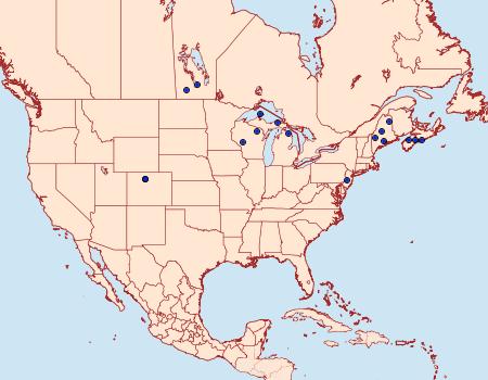 Distribution Data for Chionodes praeco