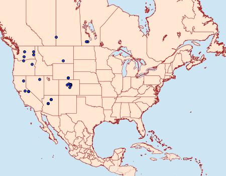 Distribution Data for Chionodes whitmanella