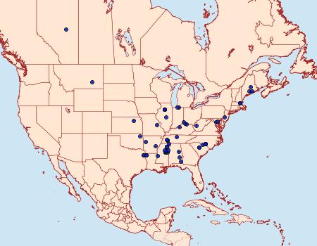 Distribution Data for Filatima serotinella