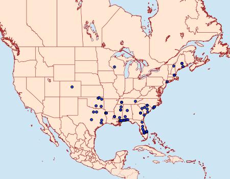 Distribution Data for Aroga compositella