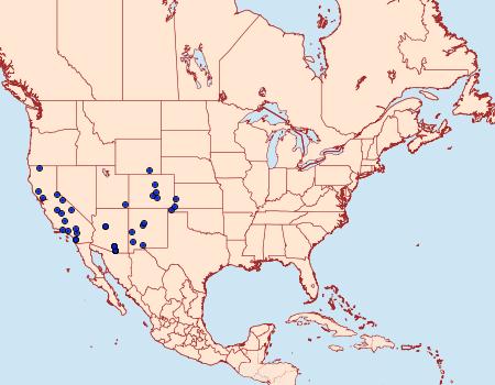 Distribution Data for Aroga paulella