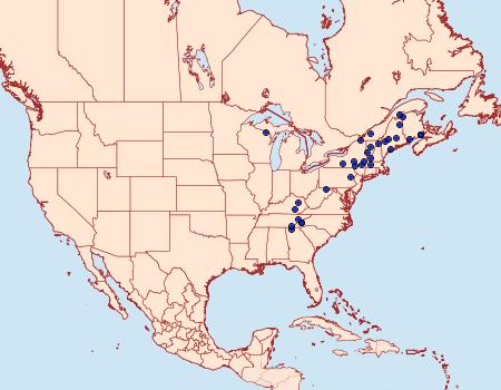 Distribution Data for Sthenopis pretiosus