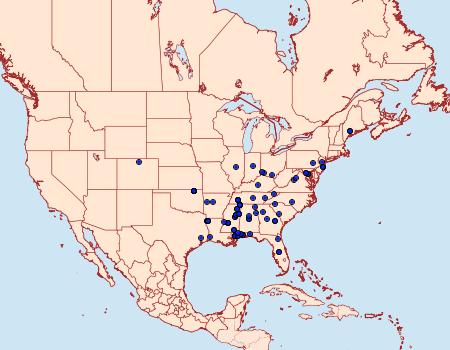 Distribution Data for Fascista bimaculella