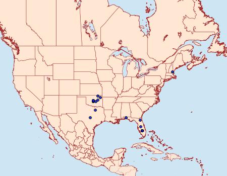 Distribution Data for Fascista quinella