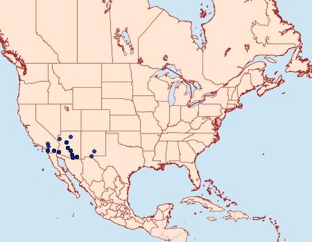 Distribution Data for Faculta inaequalis