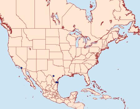 Distribution Data for Polyhymno acaciella