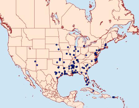 Distribution Data for Polyhymno luteostrigella