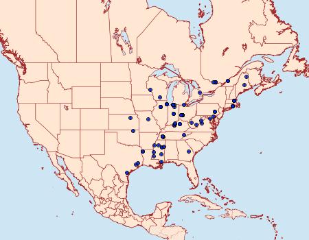 Distribution Data for Aproaerema palpilineella