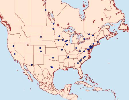 Distribution Data for Battaristis concinnusella