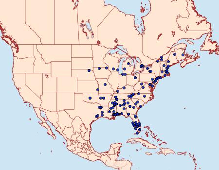 Distribution Data for Battaristis vittella