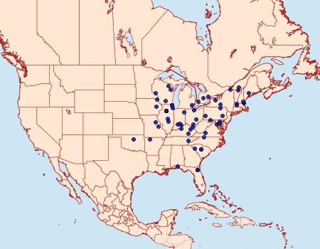 Distribution Data for Anacampsis agrimoniella