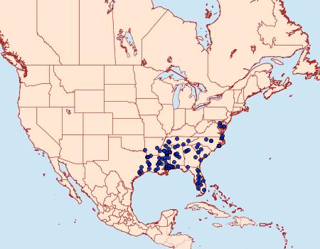 Distribution Data for Anacampsis coverdalella