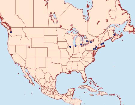 Distribution Data for Anacampsis fragariella