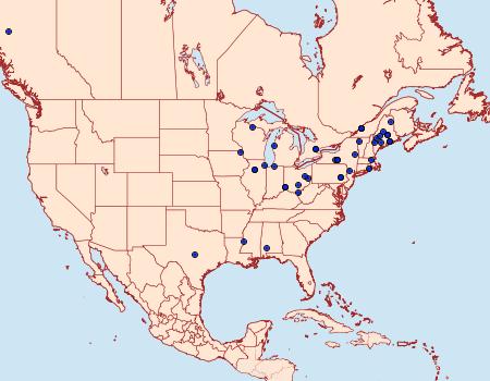 Distribution Data for Anacampsis innocuella