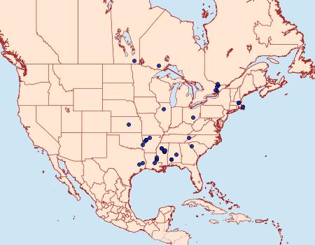 Distribution Data for Anacampsis tristrigella