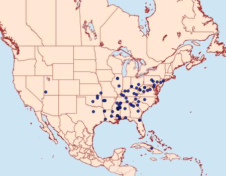 Distribution Data for Strobisia iridipennella