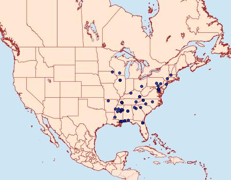 Distribution Data for Holophysis emblemella