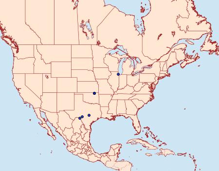 Distribution Data for Hypatima sp. 2