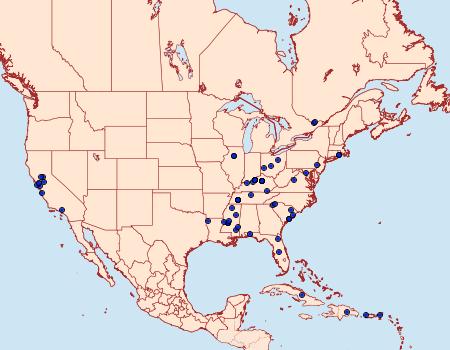 Distribution Data for Sitotroga cerealella