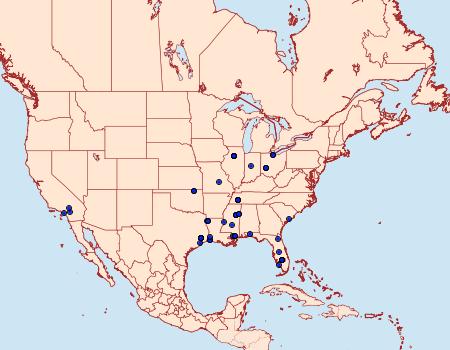 Distribution Data for Helcystogramma chambersella