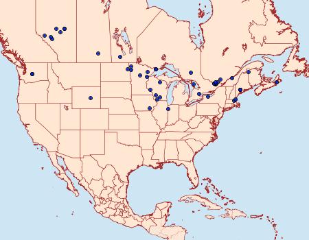 Distribution Data for Helcystogramma fernaldella