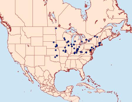 Distribution Data for Helcystogramma hystricella