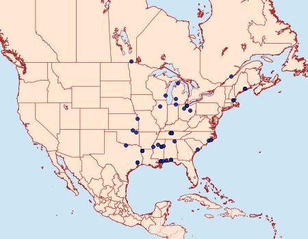 Distribution Data for Helcystogramma melanocarpa