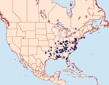 Distribution Data for Adela caeruleella